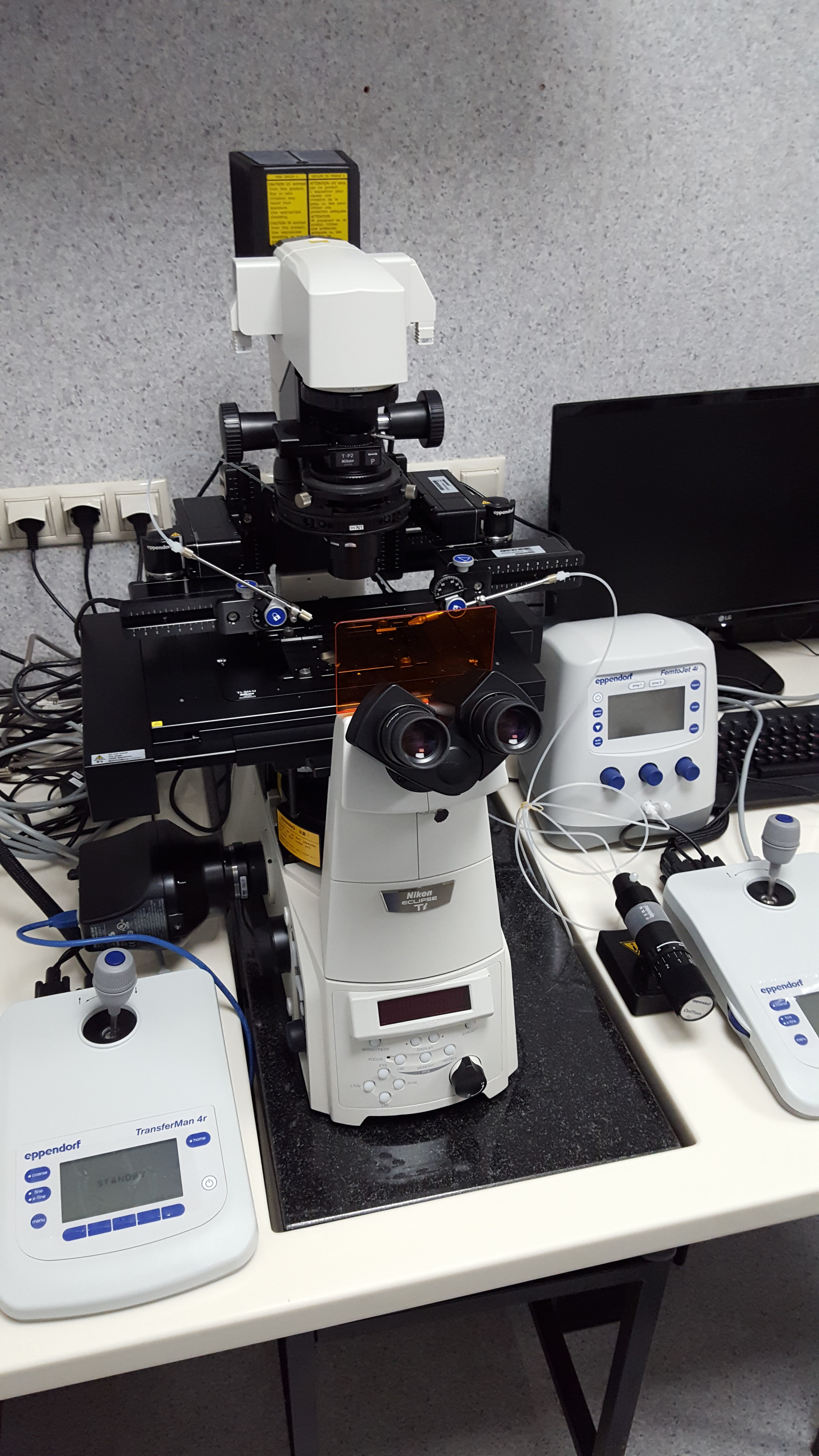 Оборудования для работы с "нокаут"-мышами